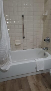Mold on the bathroom tile