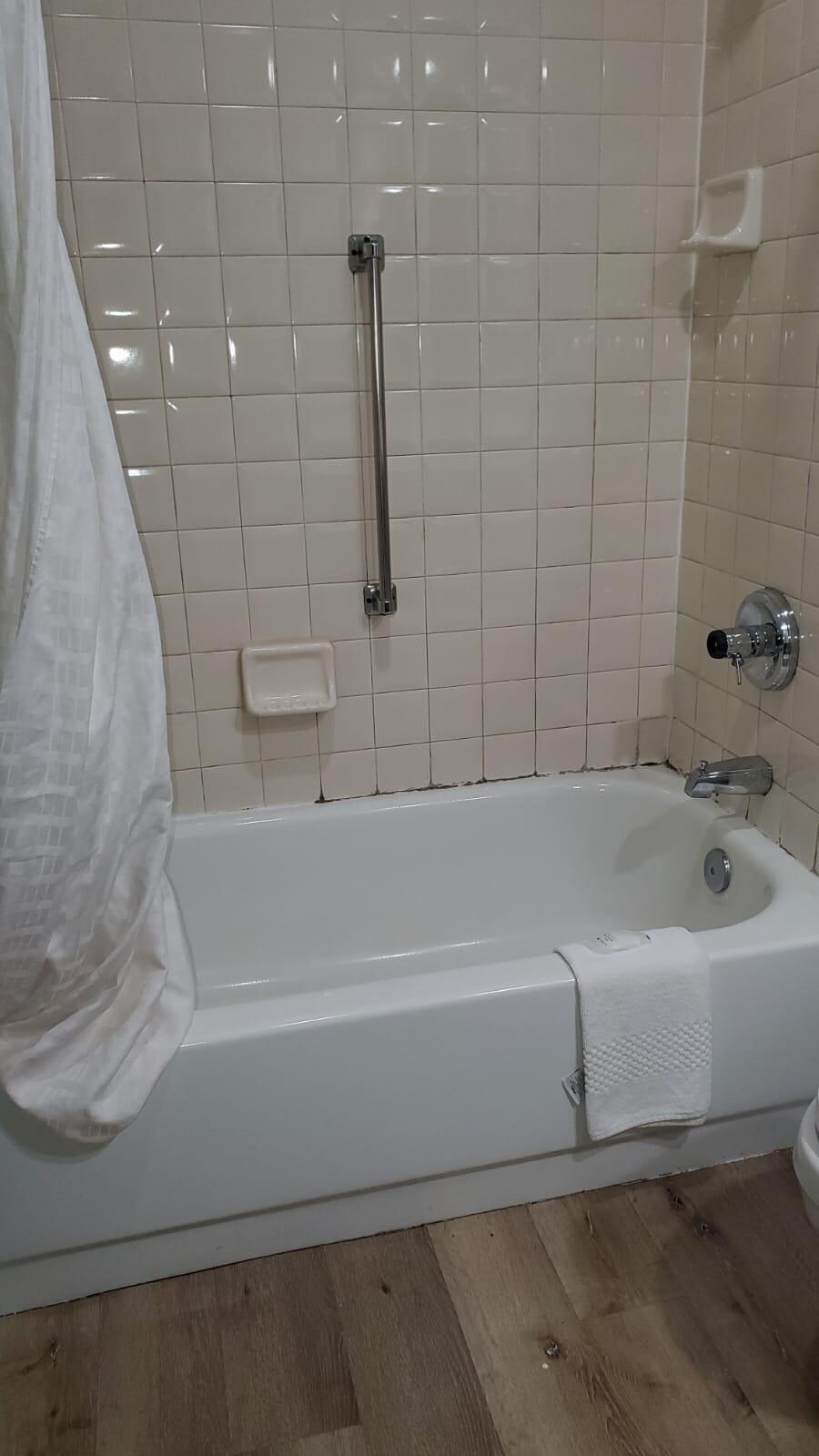 Mold on the bathroom tile