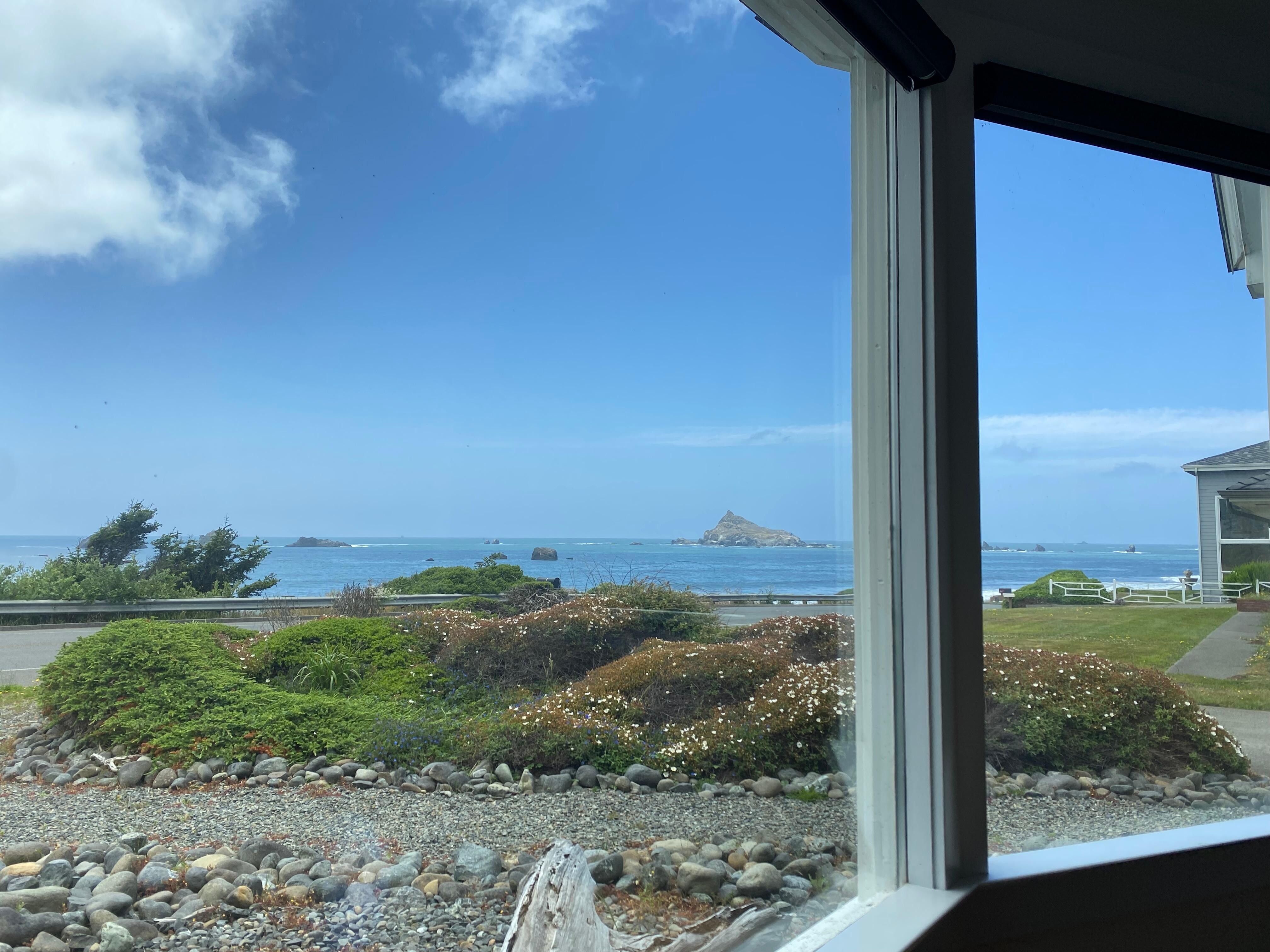 The view
