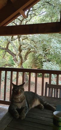 Quel plaisir de prendre ses repas sur la terrasse ! Le chat de la maison m'a souvent rendu visite.