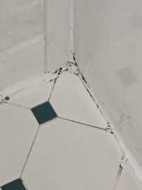Mold on bathroom floor