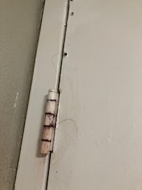 Hair in door hing