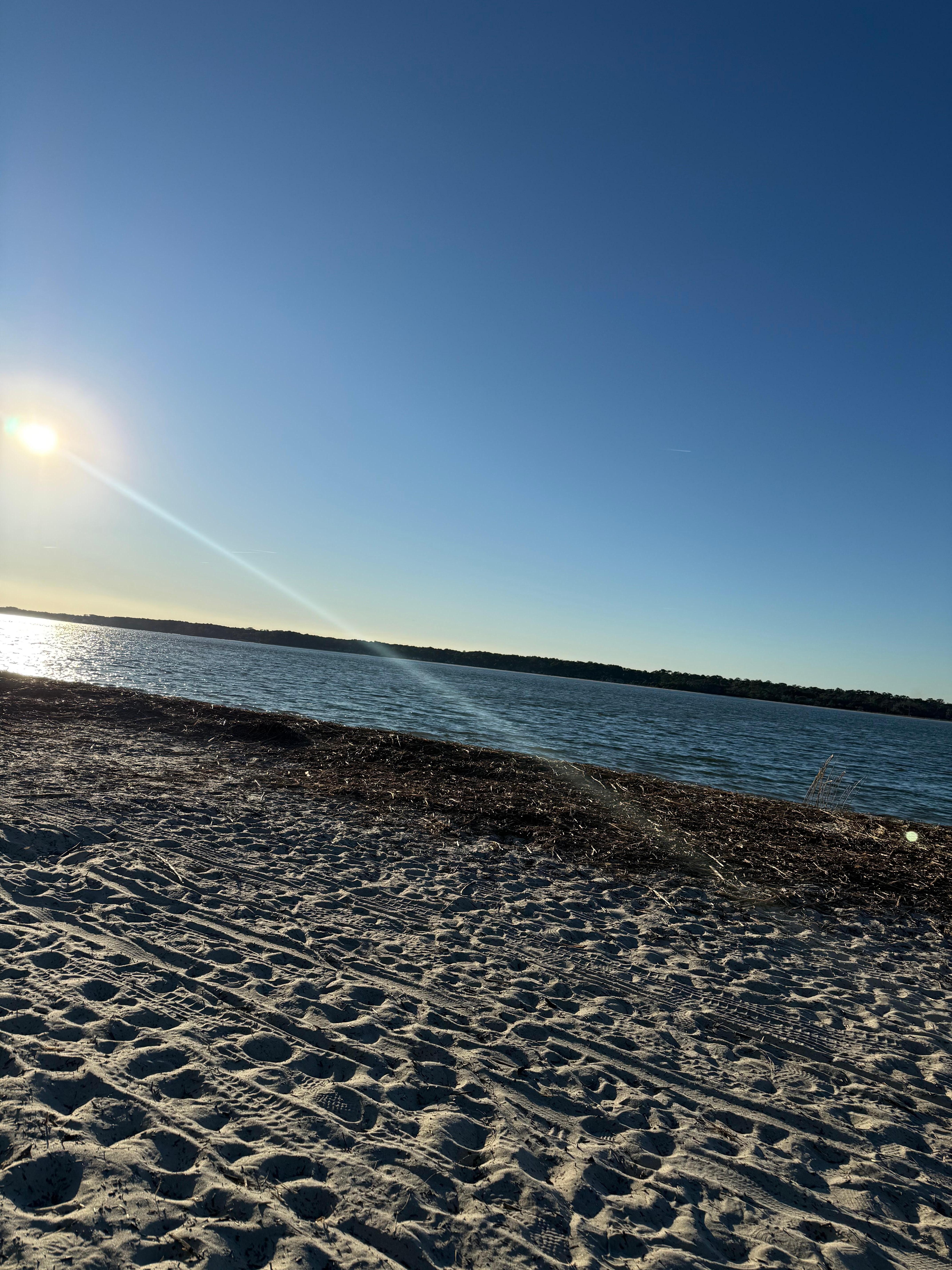 Beaty at the beach! Had gone to south beach to see dolphins and of course, we saw plenty!!!
