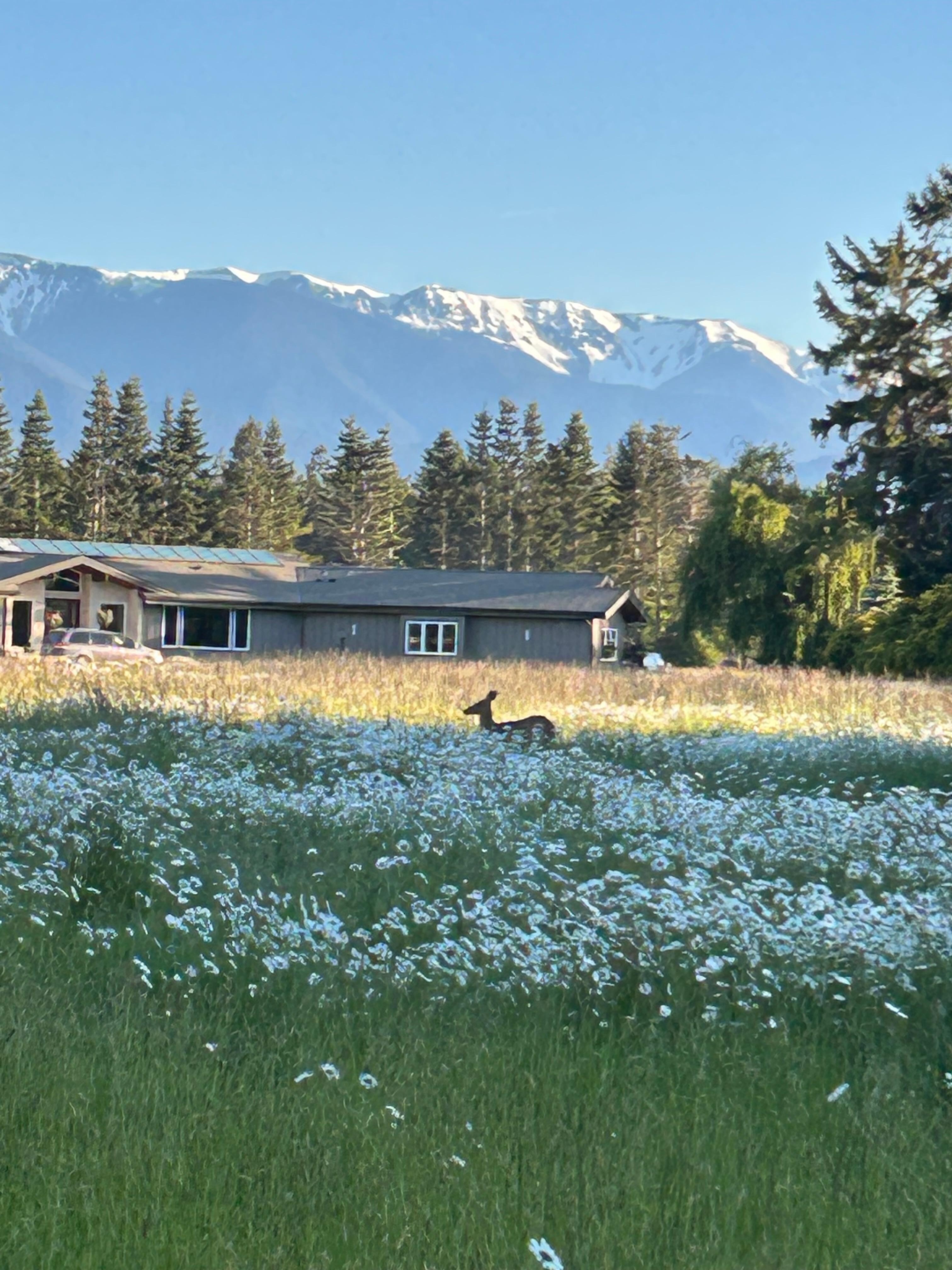 My favorite scene from my nightly walk. 
