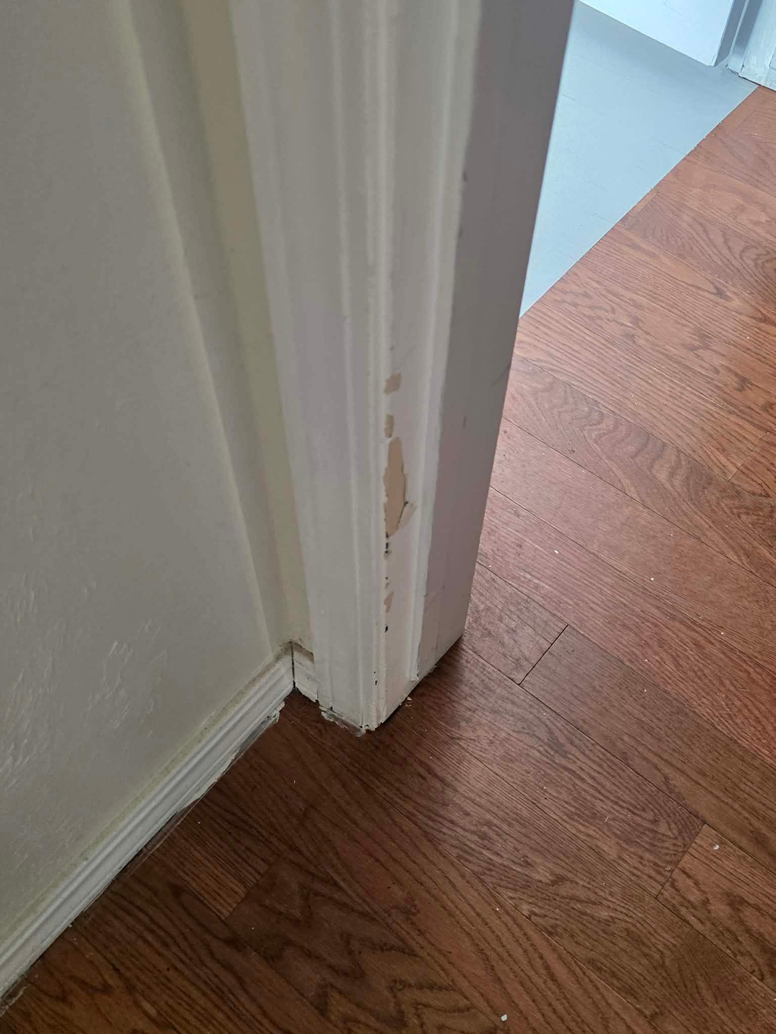 Doors, trim, walls are all dirty and scuffed. 
