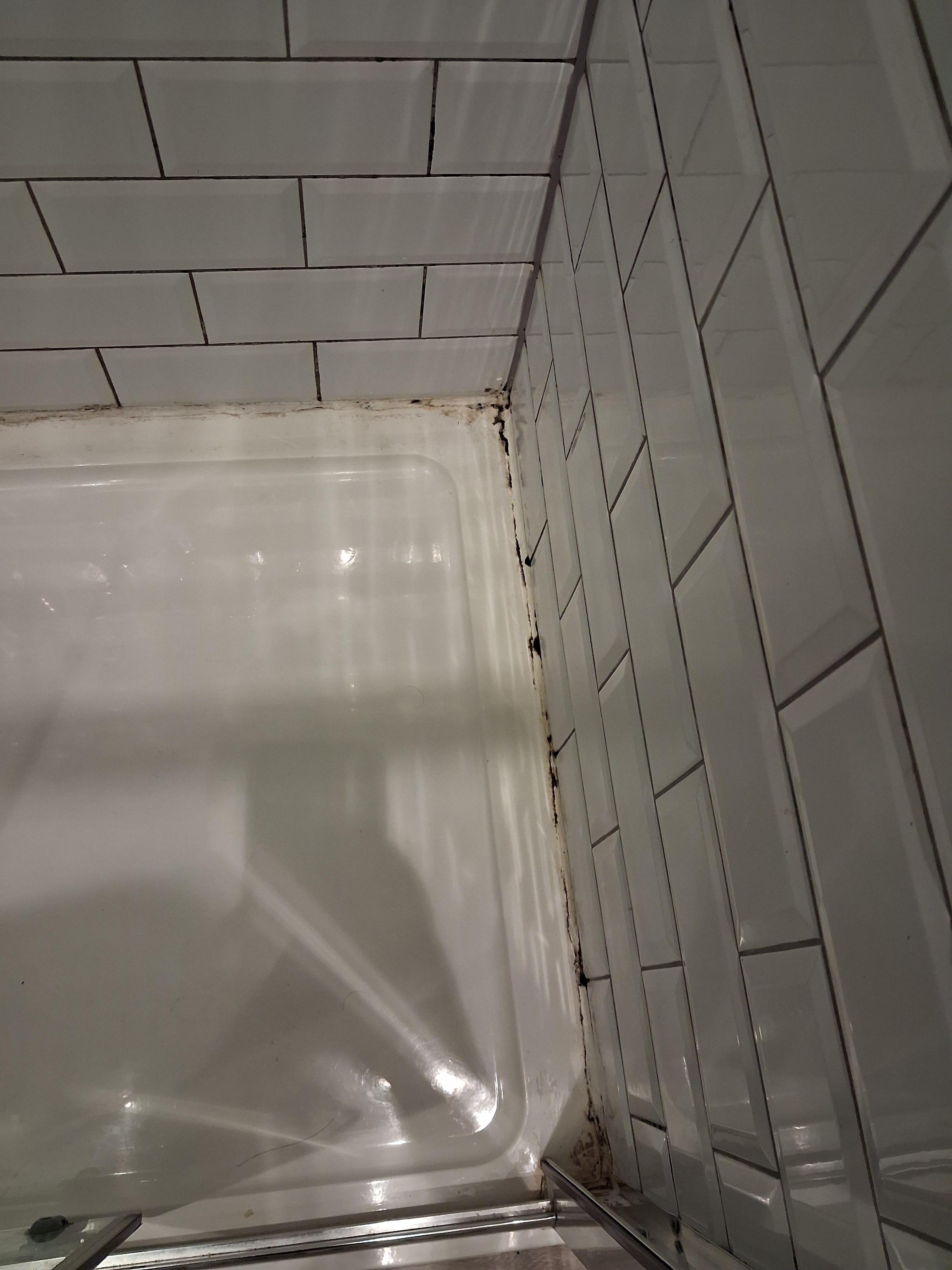 Shower mould