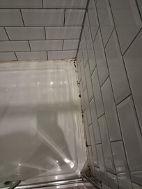 Shower mould