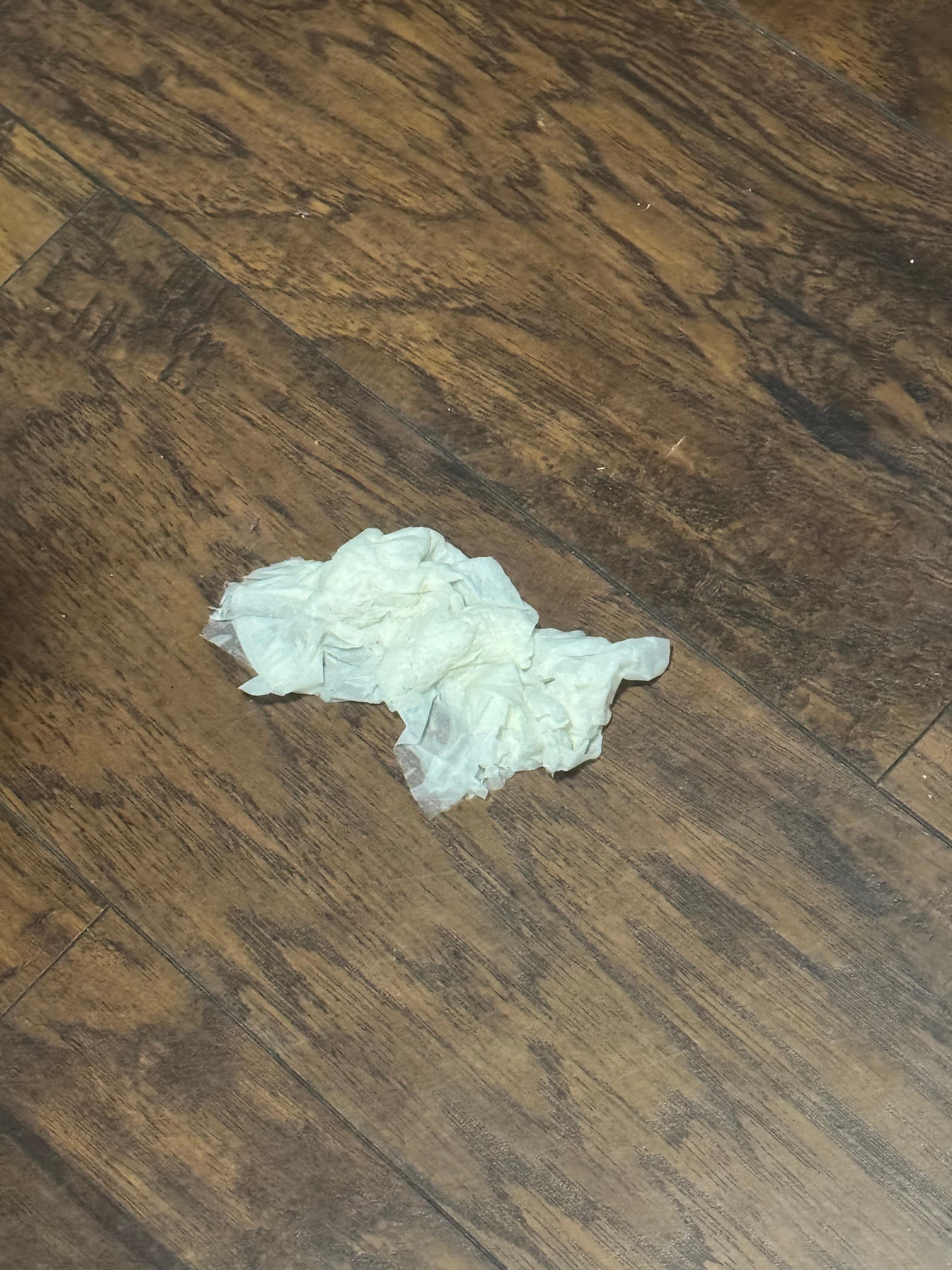 Clump of wet saturated paper towels stuck to the floor upon arrival