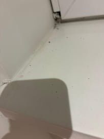 The windows is full of dust