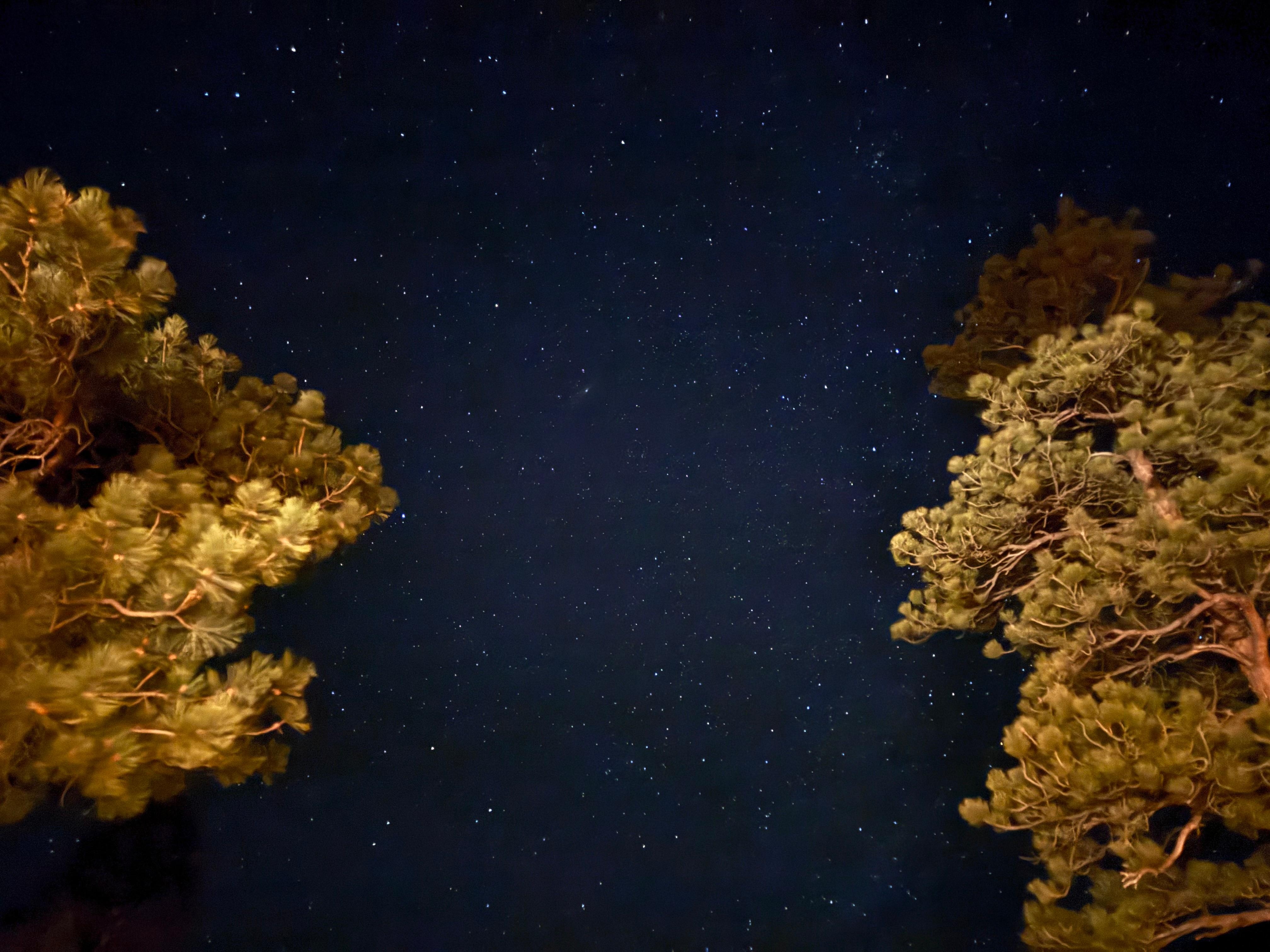 Amazing stargazing at night