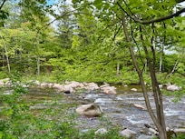 View of the river in back yard
