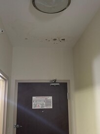 Mold and water damage on the ceiling. Light worked for about 3 seconds.