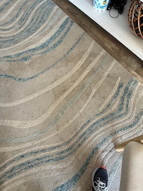 Filthy area rug. Badly stained