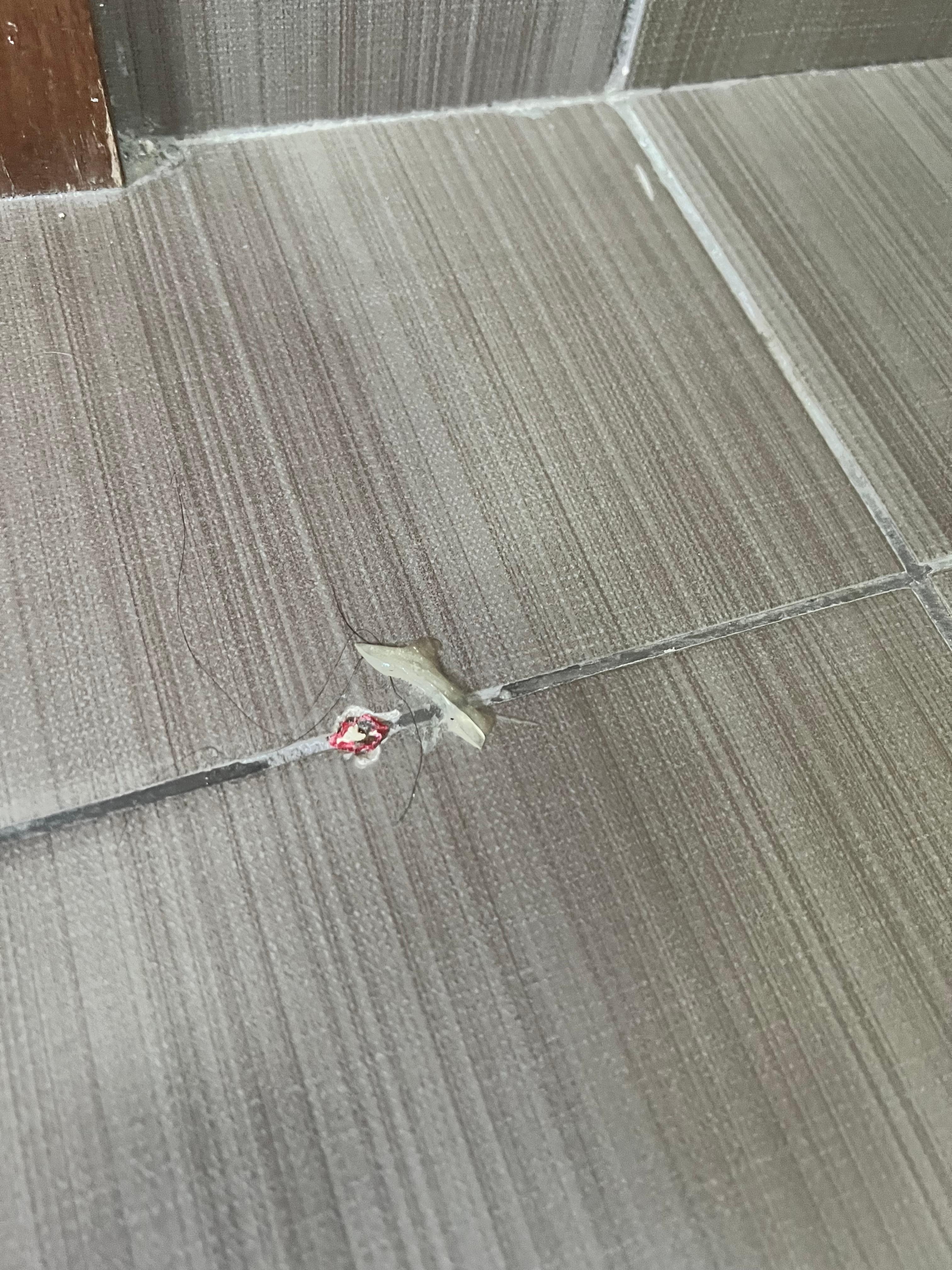 Disgusting thing on bathroom floor everyday