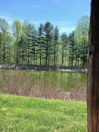 View from the porch, where I sat and read all day.