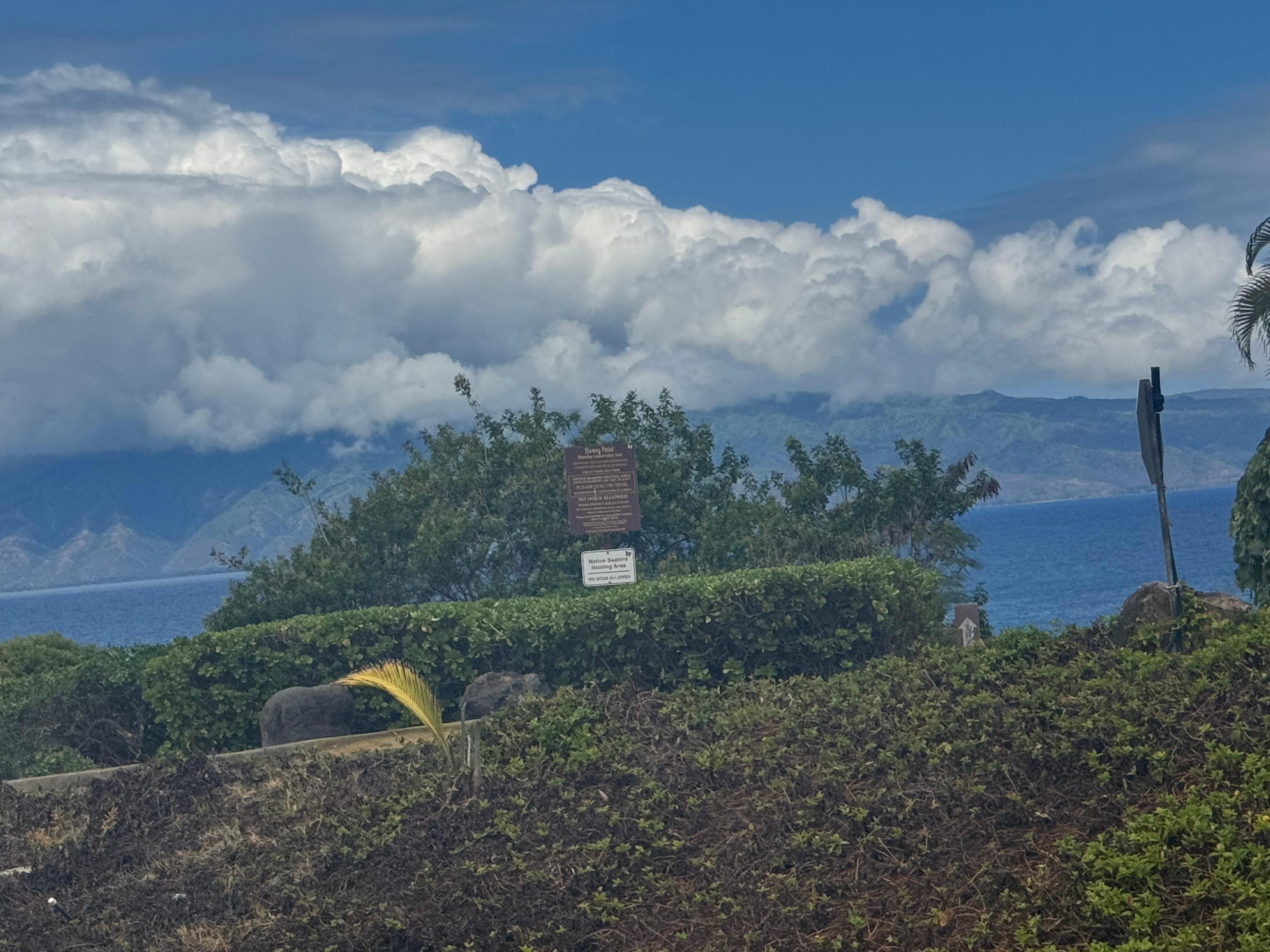Two ways to get to beaches and hiking.