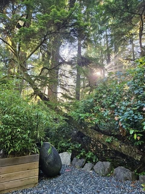 A beautiful sight of the sun going down