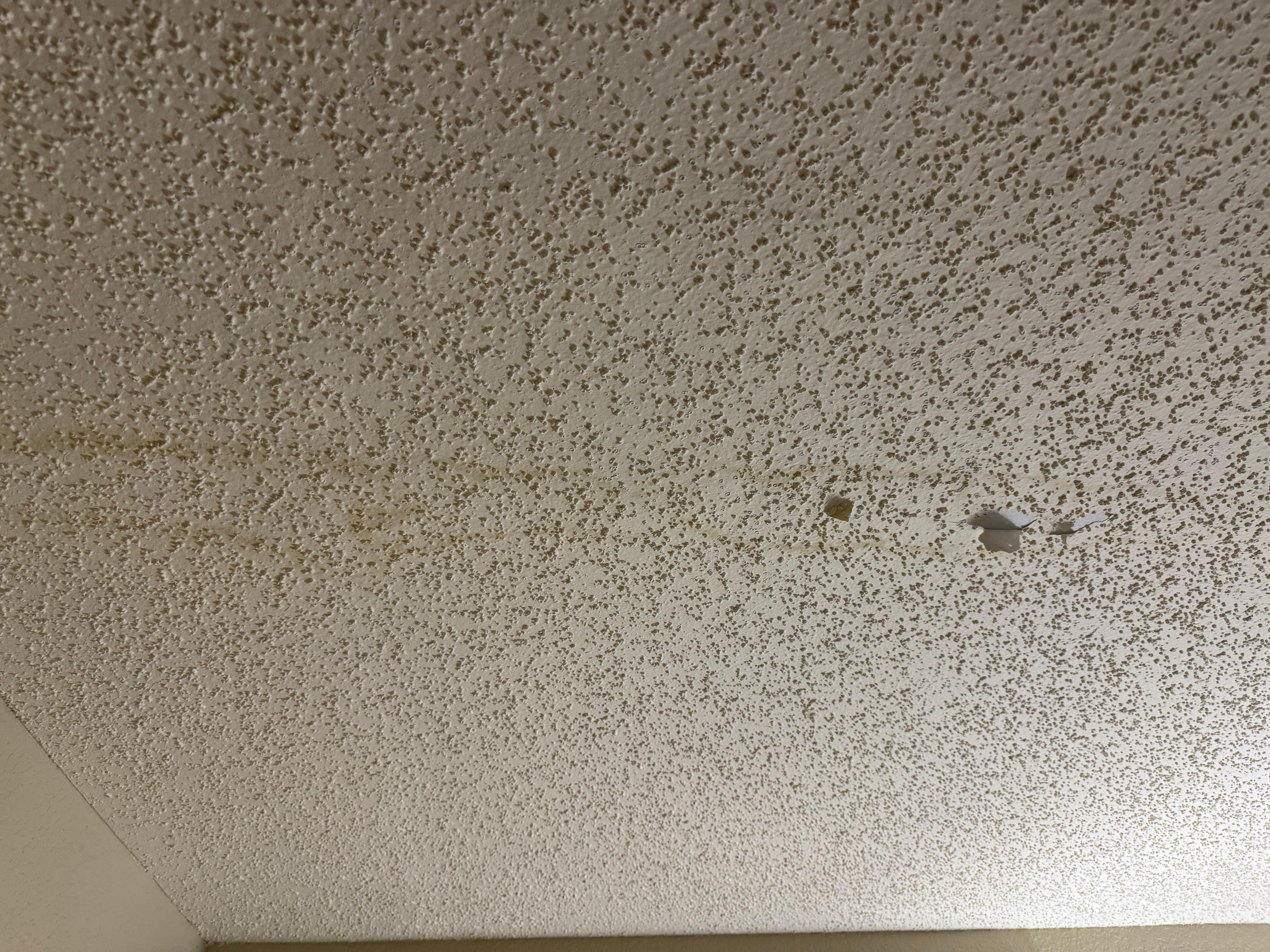 The ceiling was stained and peeling.