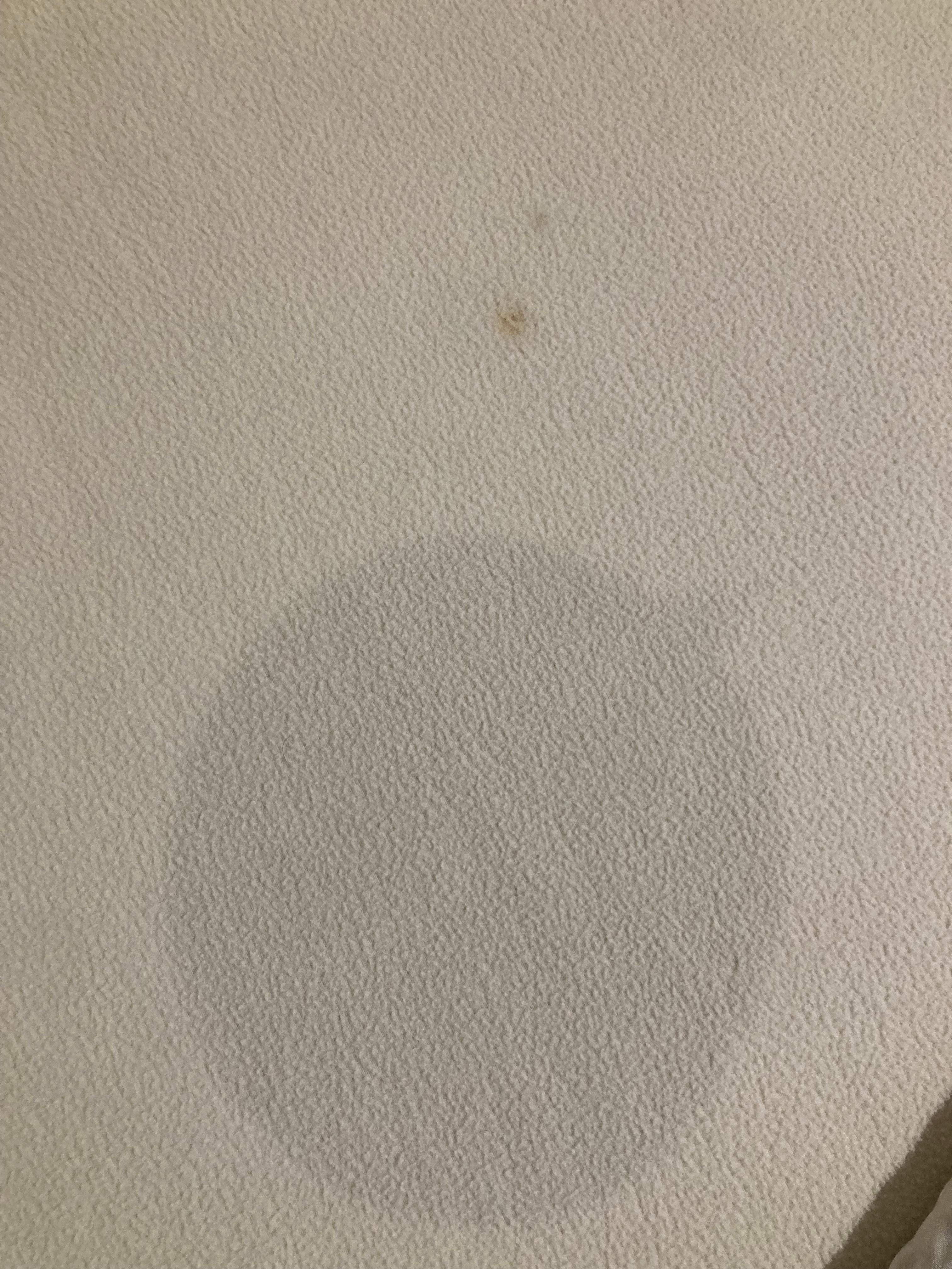 Large stain on blanket
