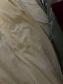 Bed sheets were dirty