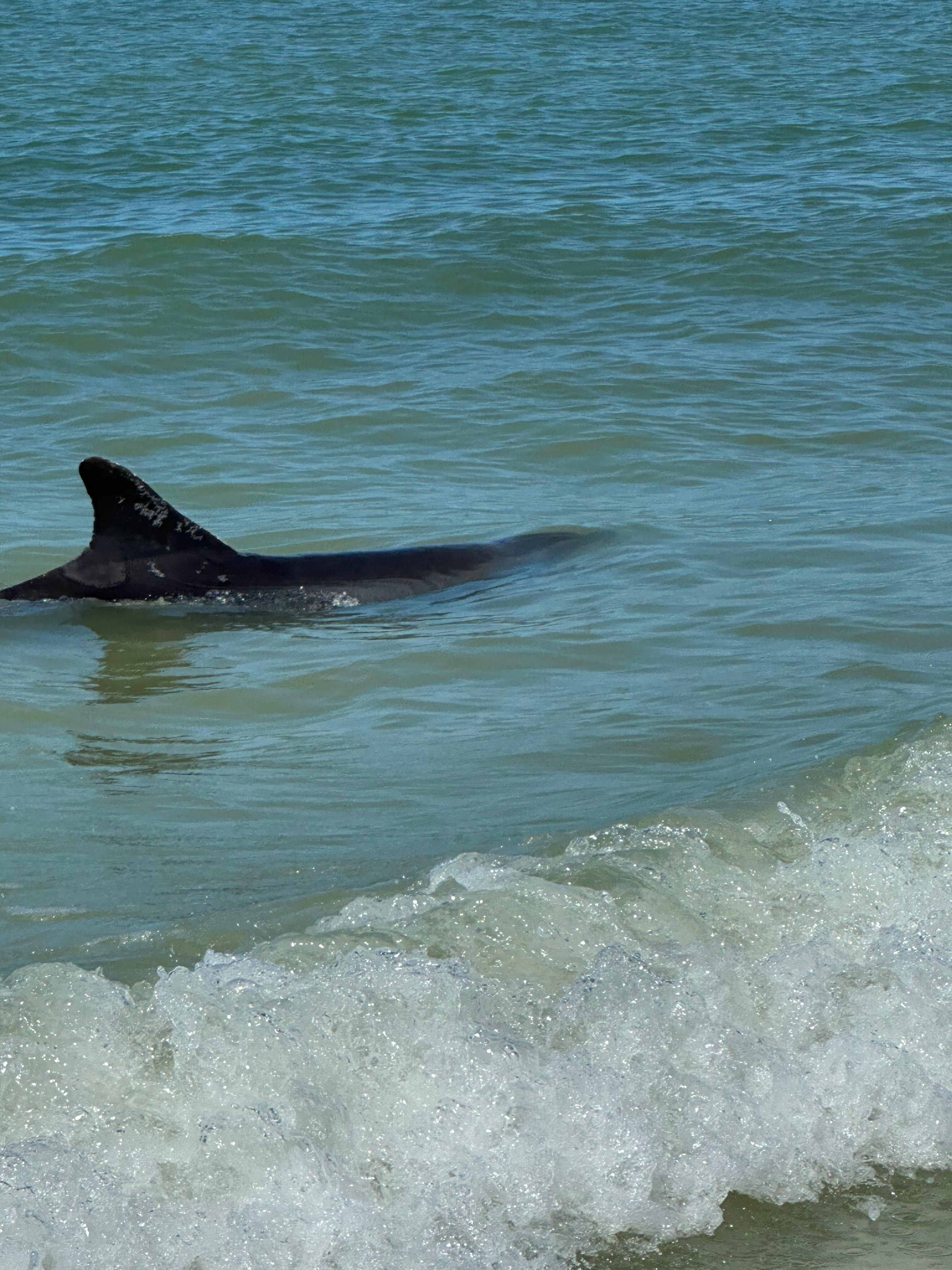 Beach in front of condo