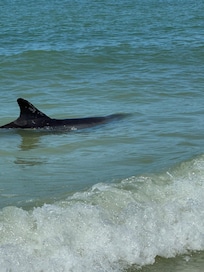 Beach in front of condo