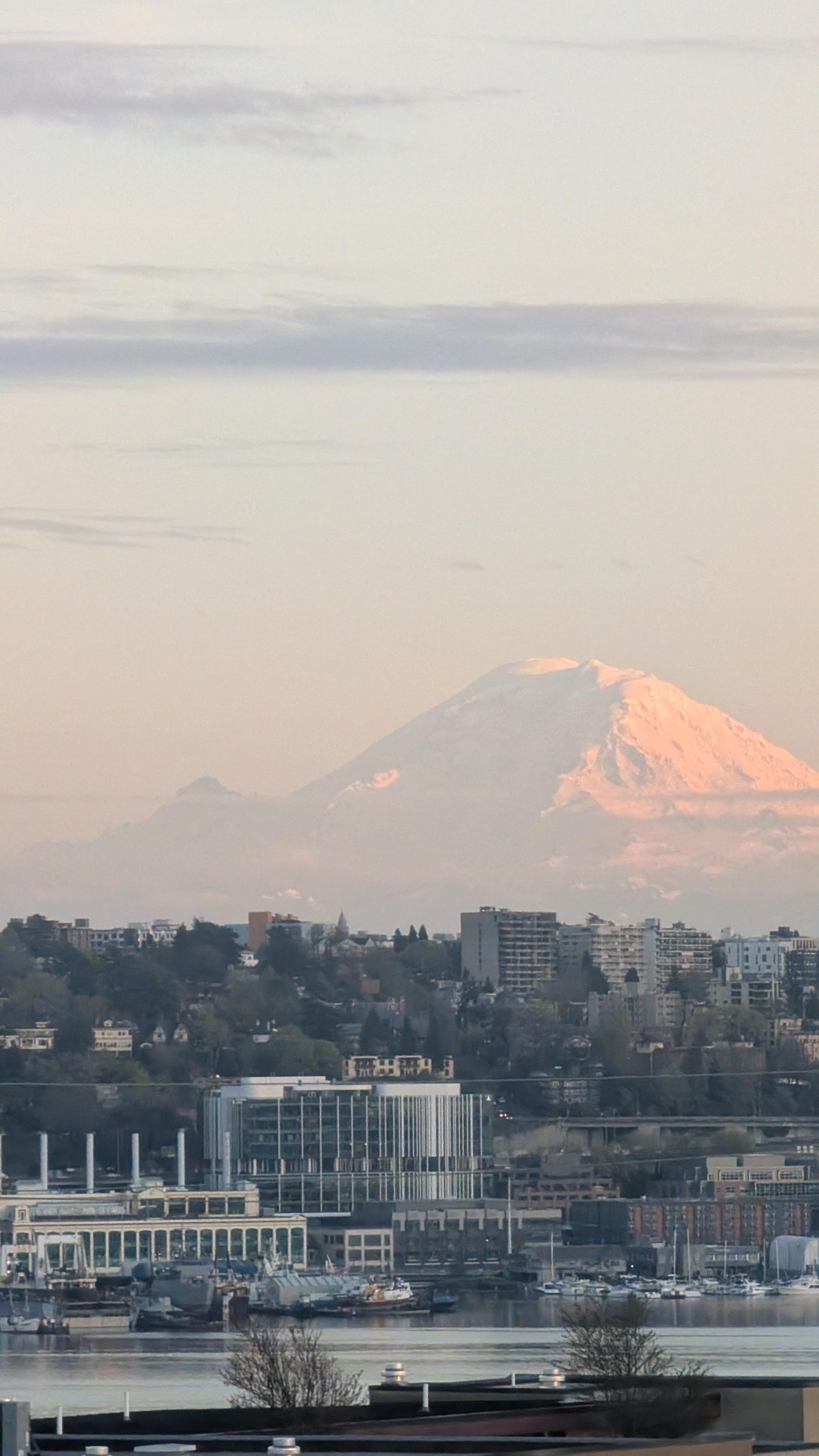 Mt Rainier from the rooftop patio 