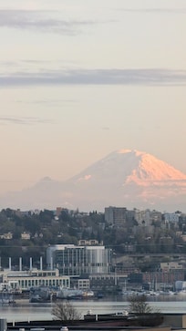Mt Rainier from the rooftop patio