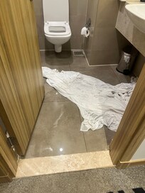 Flooded toilet from day 1
