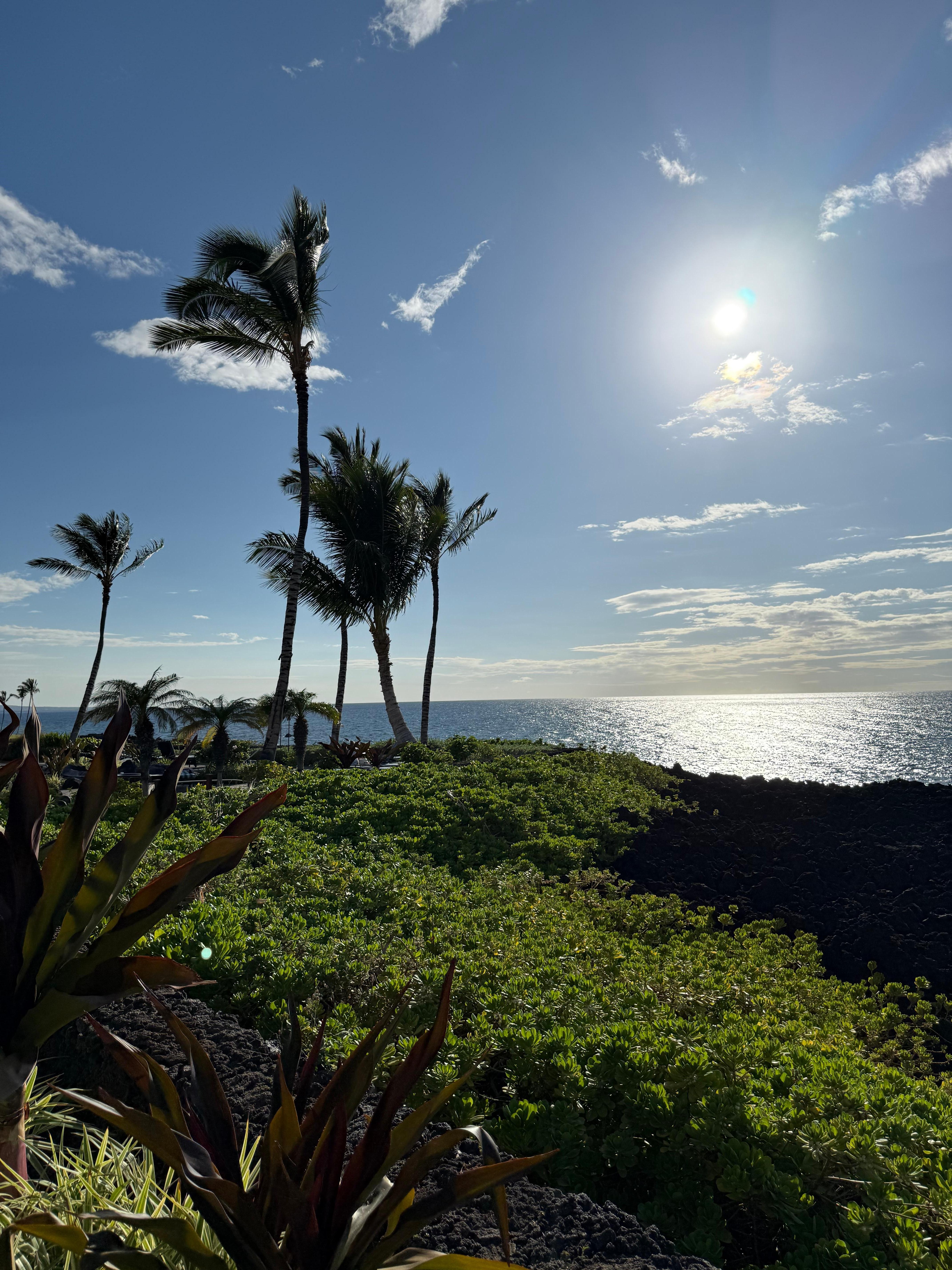 Ocean view from the pool