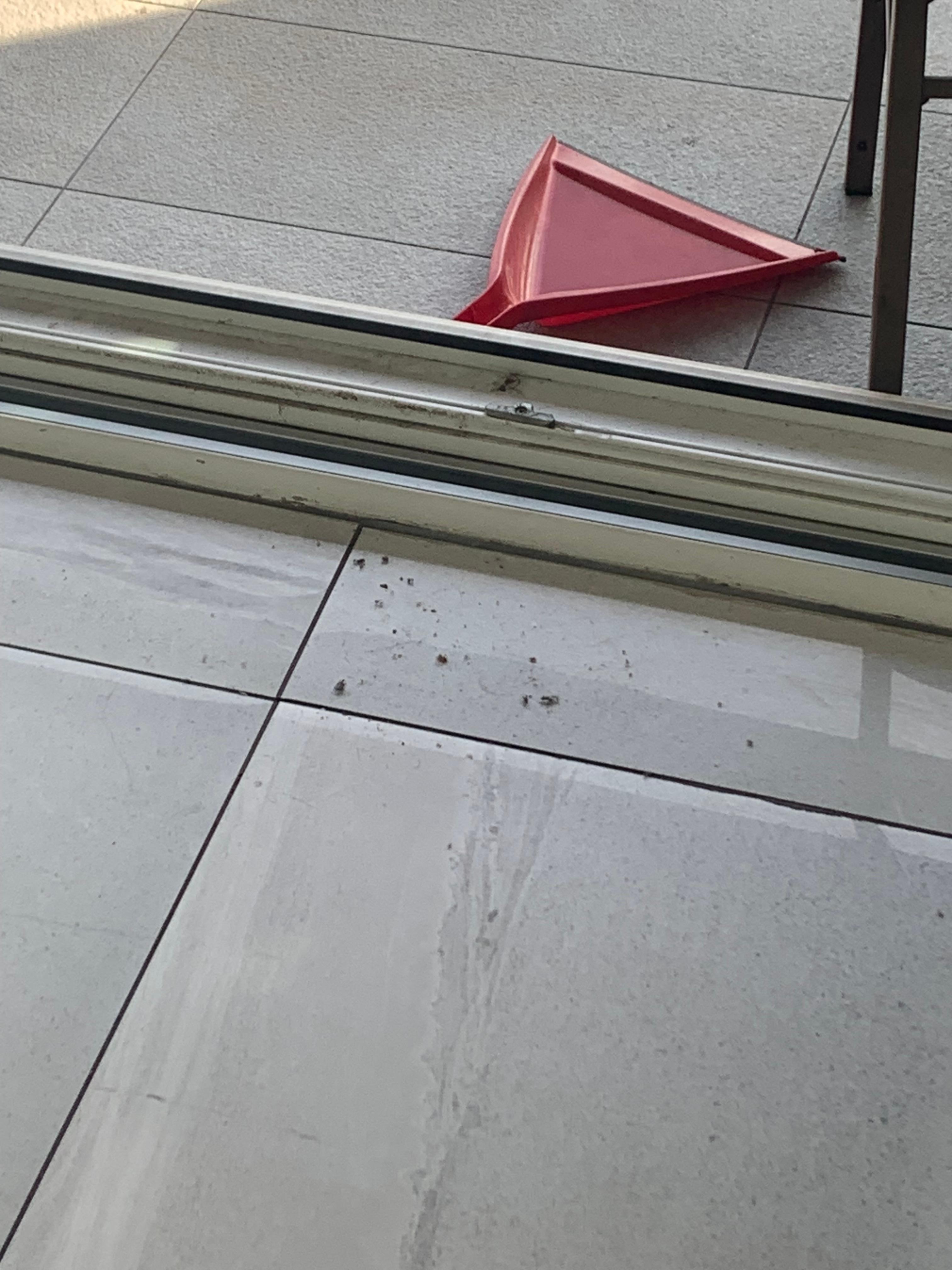 Floors were poorly swept