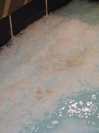 Feces in the hot tub. The smell.. we were in that water!! Disgusting!!