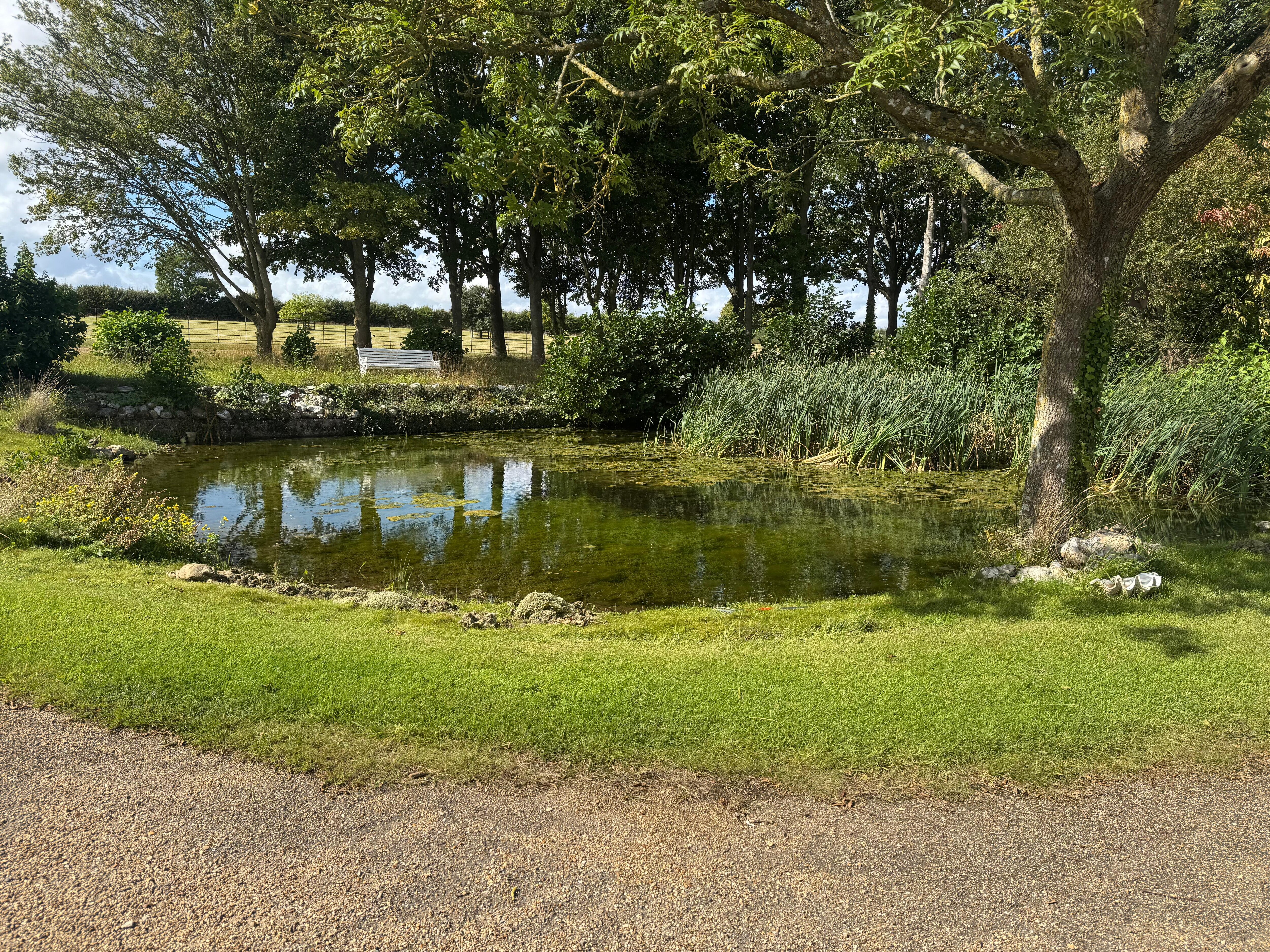 Pond to side of bouse