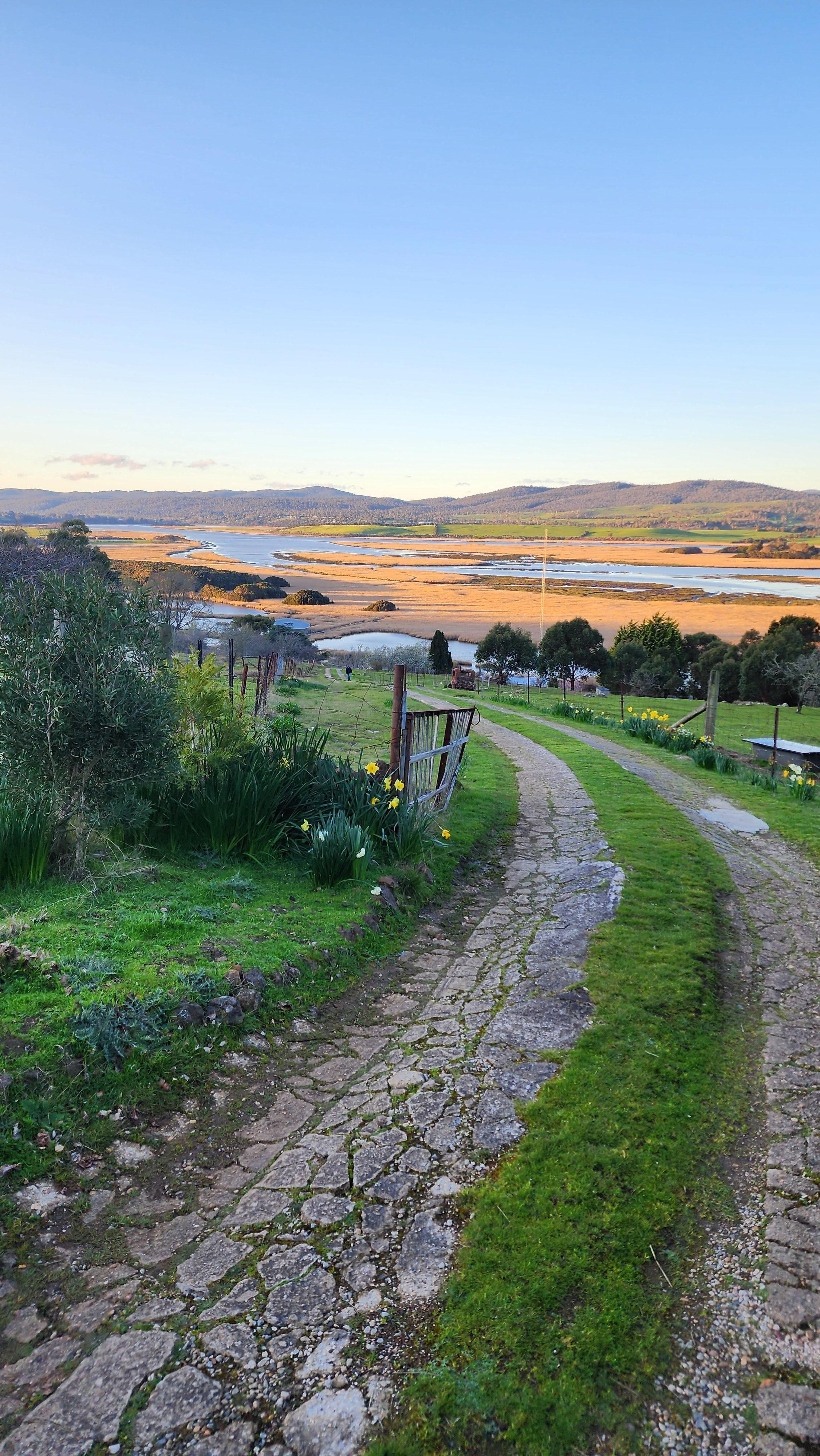 View down the driveway, looking towards the Tamar Wetlands.
