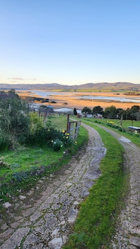 View down the driveway, looking towards the Tamar Wetlands.