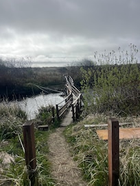 Bridge to get to the beach