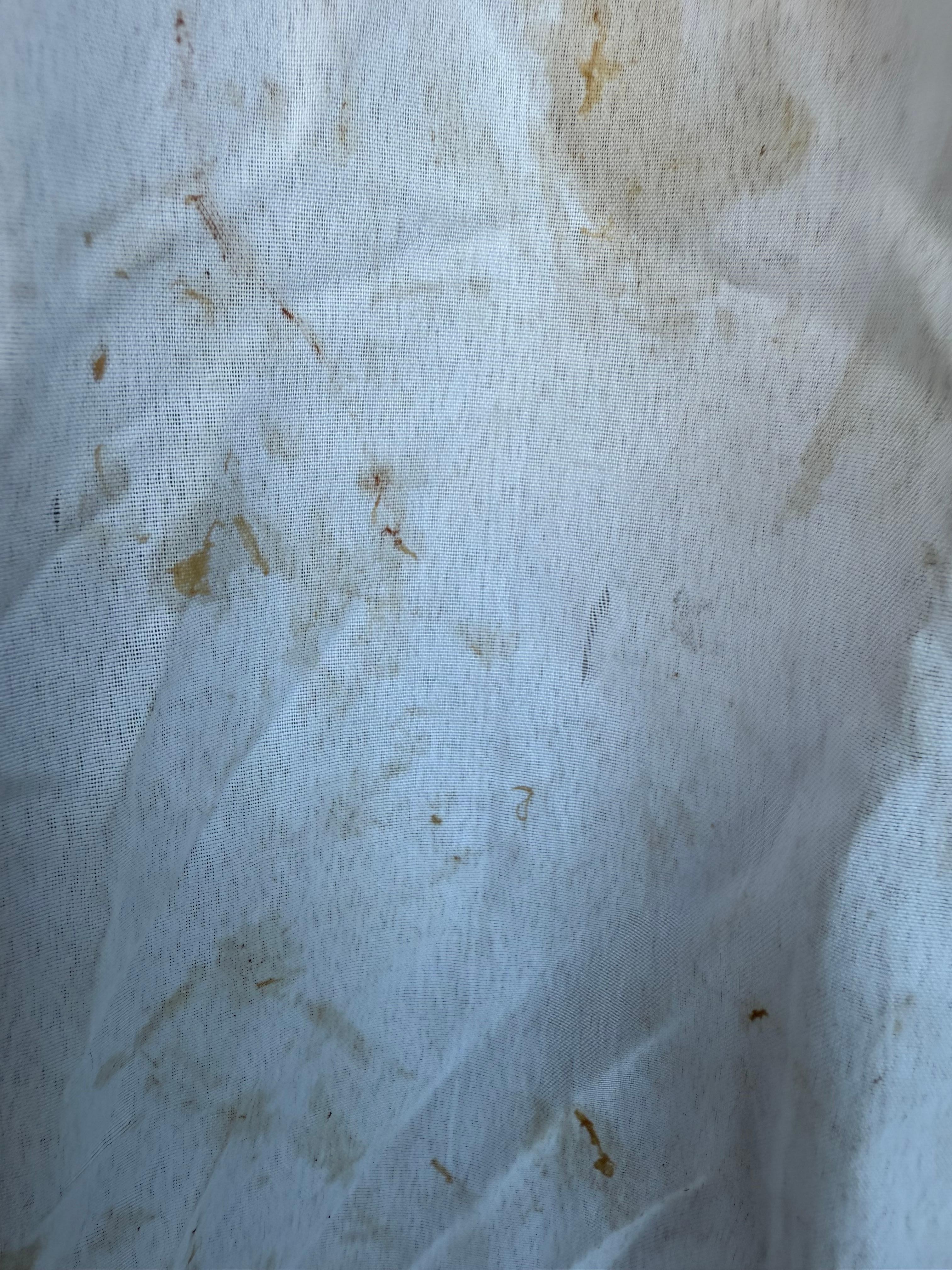 Nasty curtains 