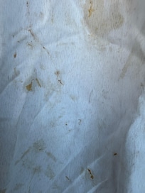 Nasty curtains