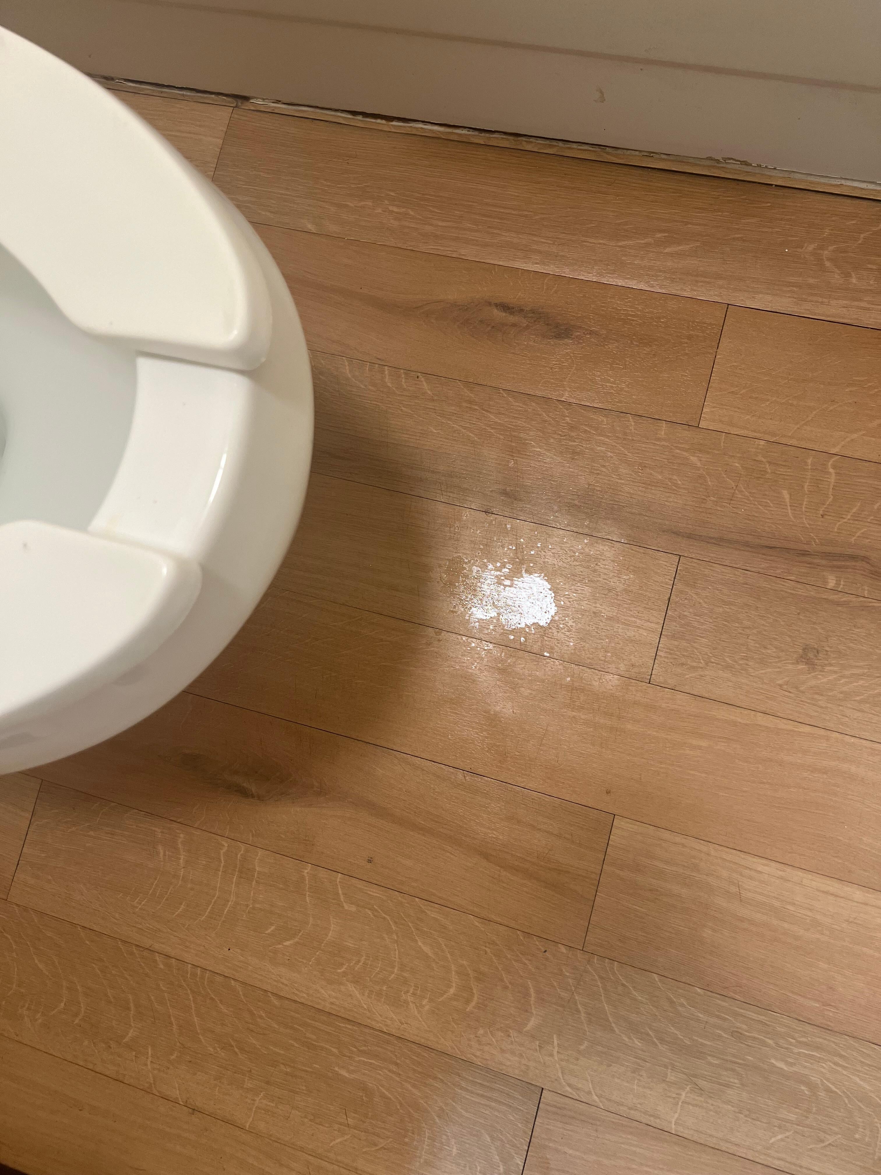 Pee all over bathroom