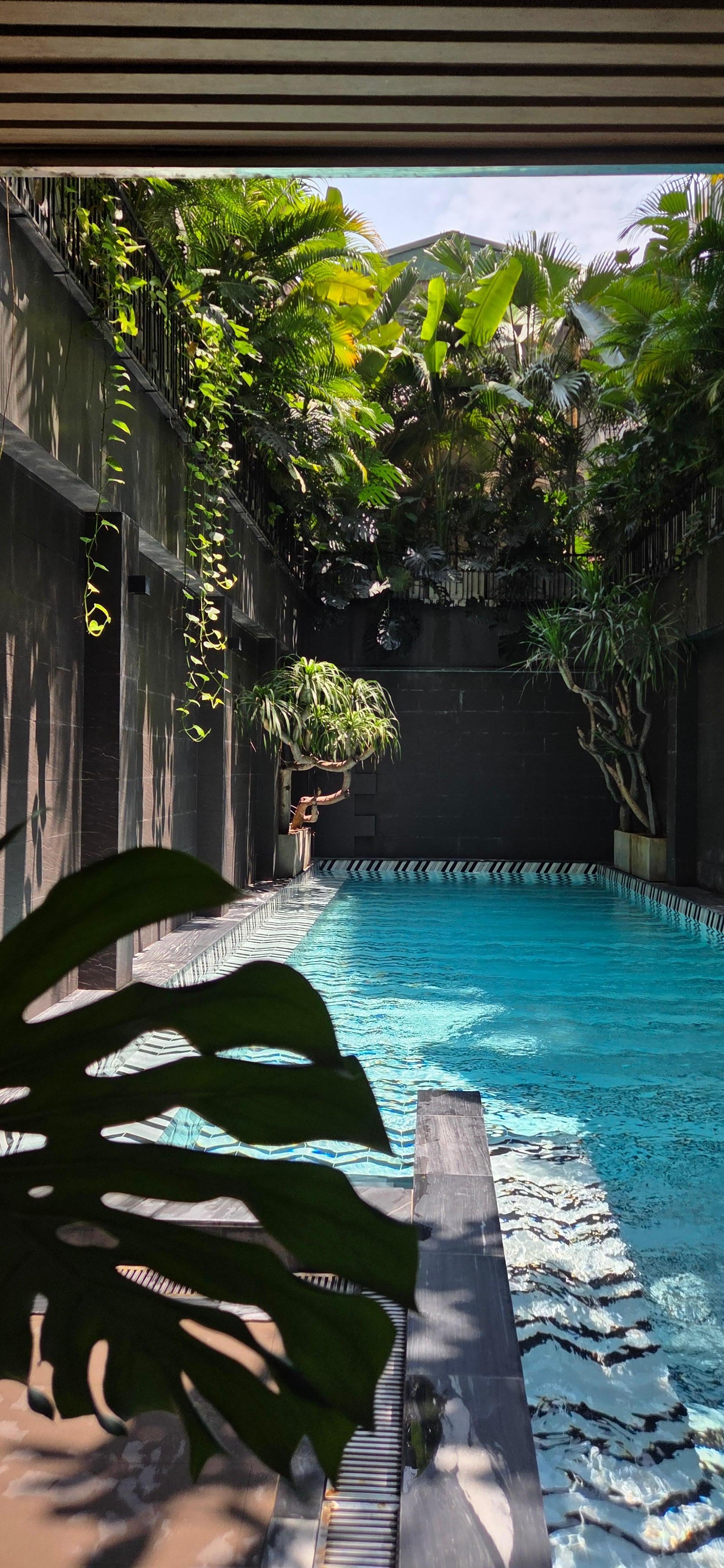 The beautiful pool