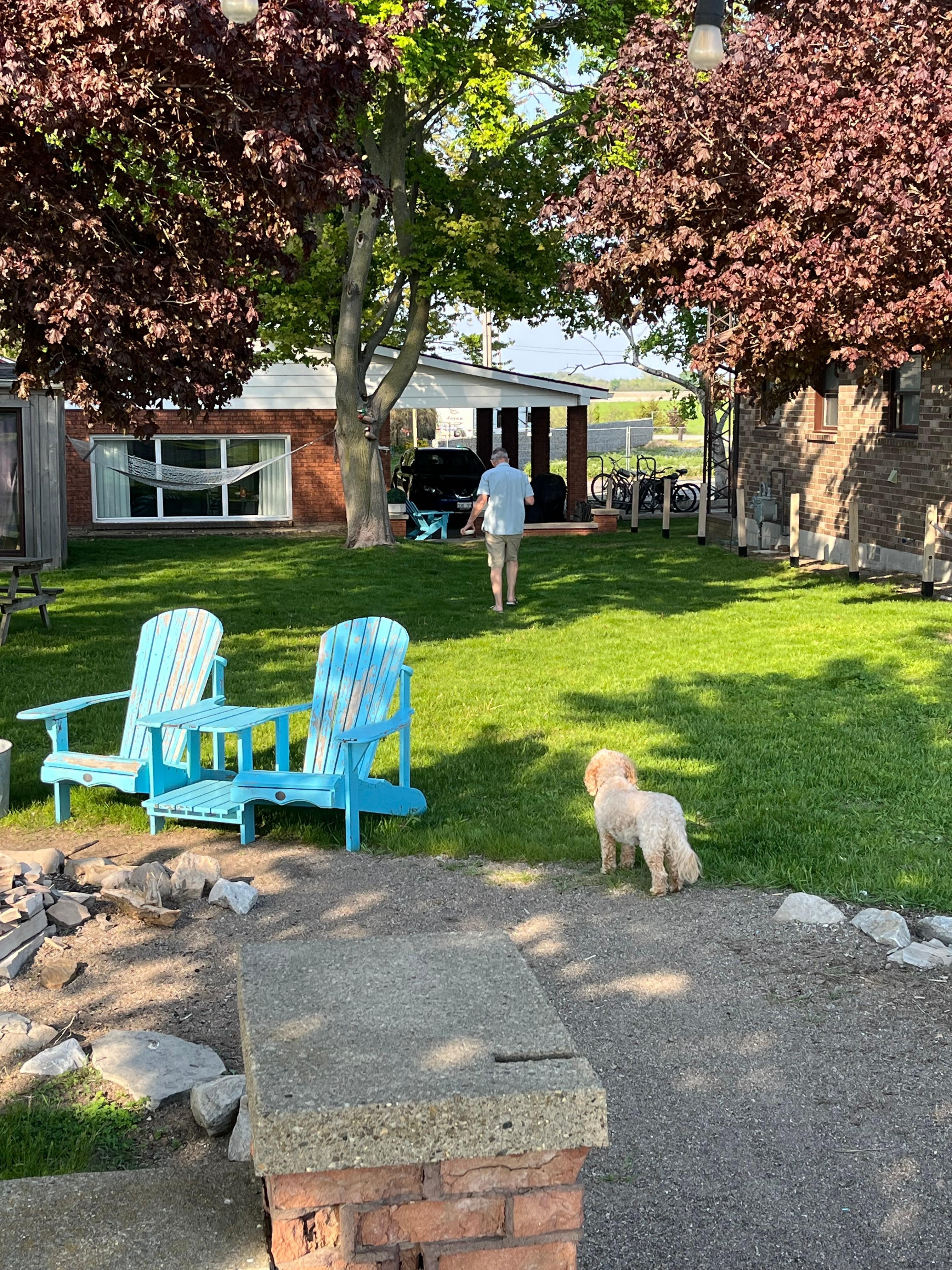 Great backyard has shade if needed fire pit, barbecue and plenty of seating