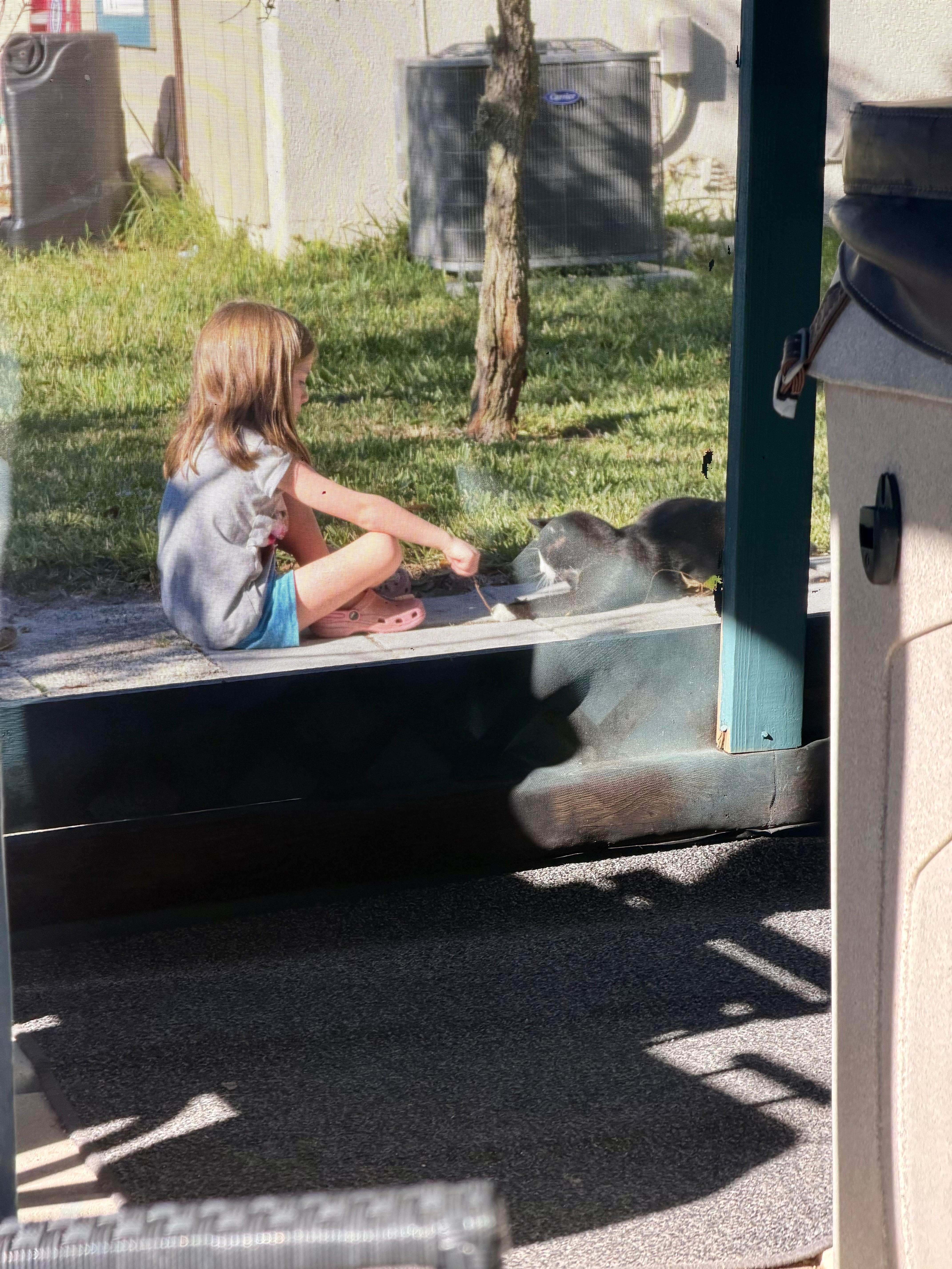 Grimm playing with my daughter. 