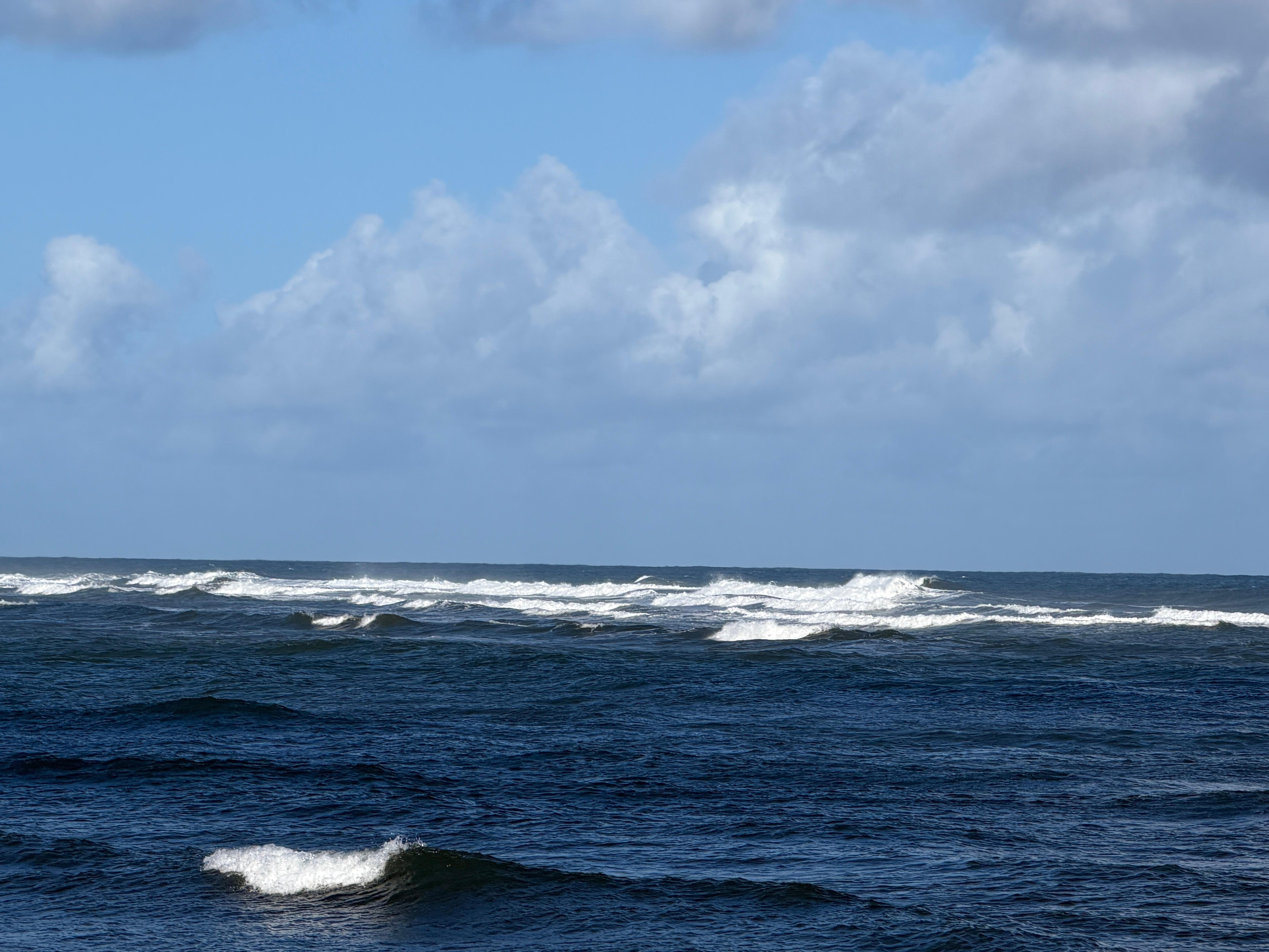 Lovely scenery on walks near the condo 