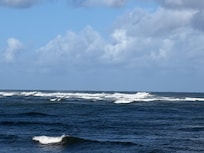 Lovely scenery on walks near the condo