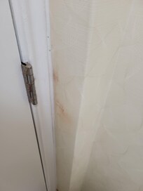 Manchas en la puerta