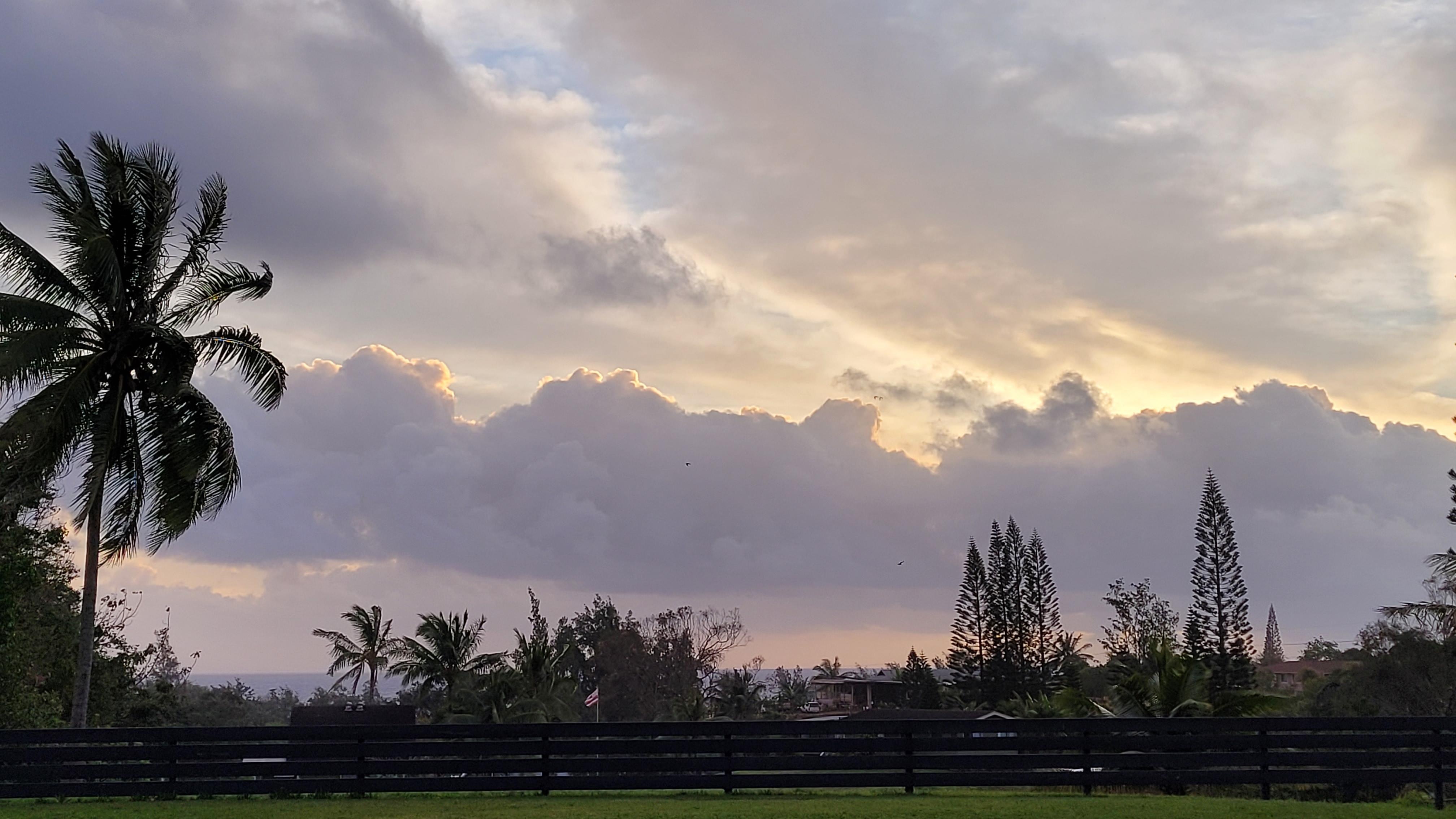 dawn from the front yard