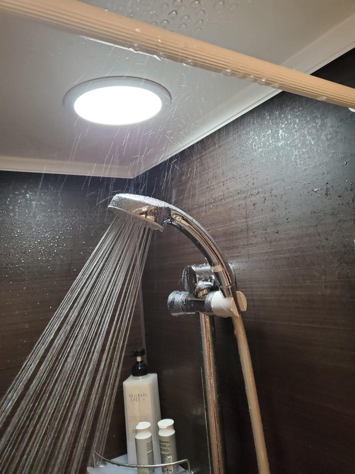 Broken Shower Head