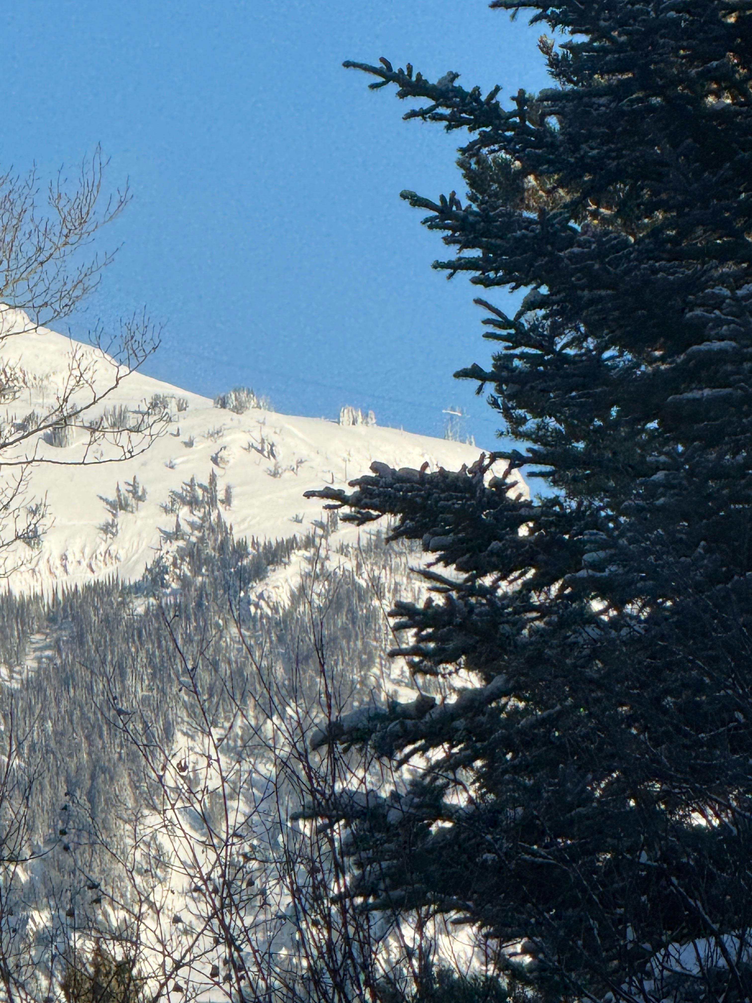 You can see the Tram line for the tram to Corbet's Cabin if you look closely. It was fun to watch it go back and forth.