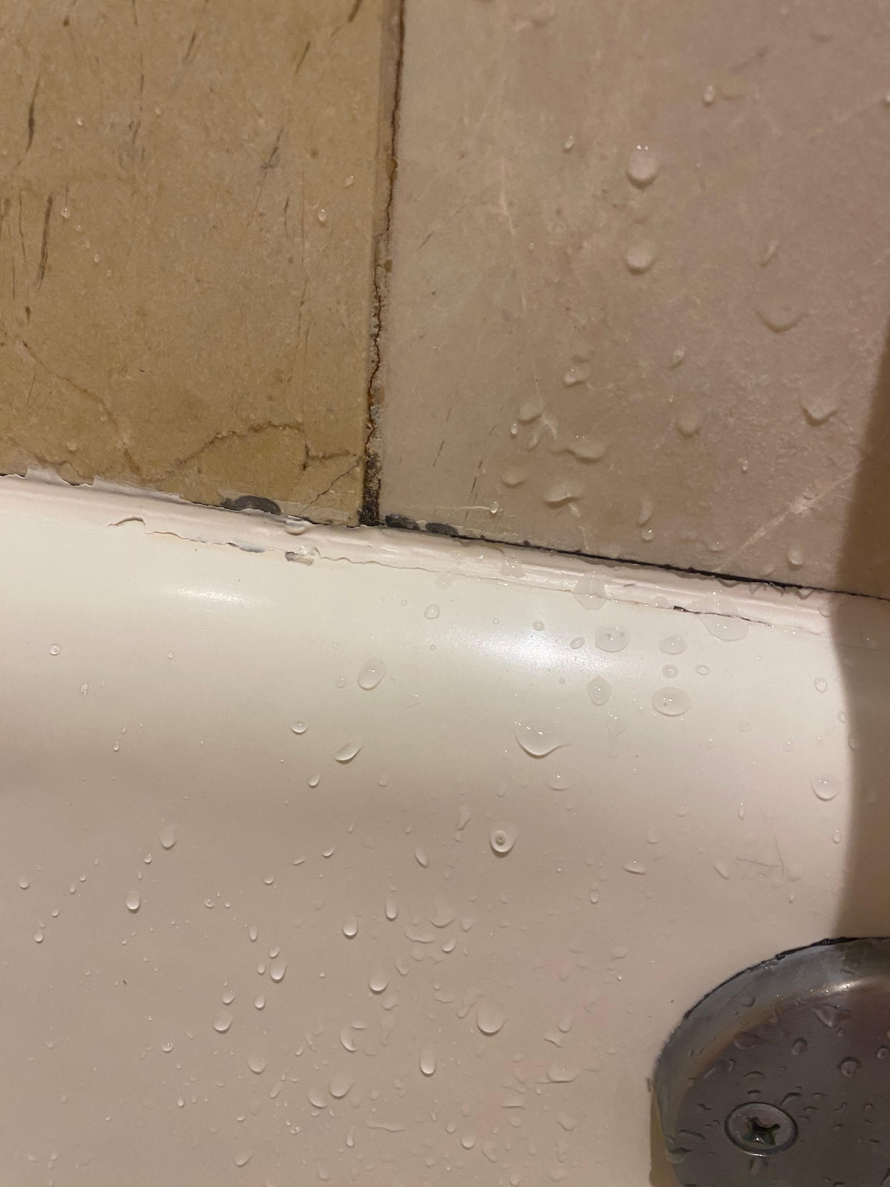 Mold