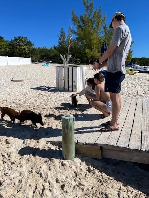 Feeding the Swimming Pigs on No Name Cay